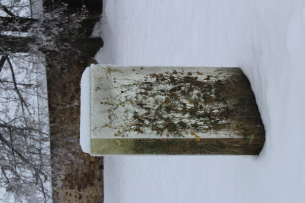 Věčná (2020 – 2022)